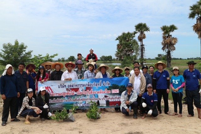 Manager and employees of Pimai Salt Co.,Ltd. and Thai Refined Salt Co., Ltd. have planting trees (500 trees) for increasing green area on concession of Pimai Salt area.