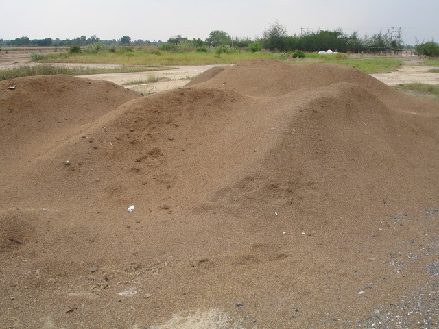 Organic matter was added into the soil to decrease the salinity problem.
