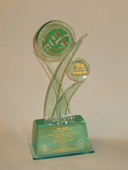 EIA Monitoring Awards 2008